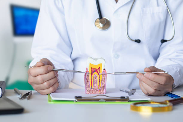 Best Emergency Dental Services for Seniors in Eufaula, OK
